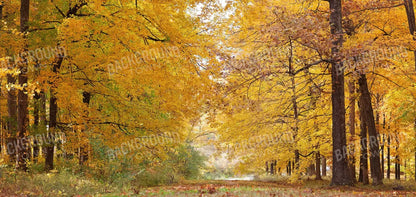 Fall In Missouri 2 16X8 Ultracloth ( 192 X 96 Inch ) Backdrop