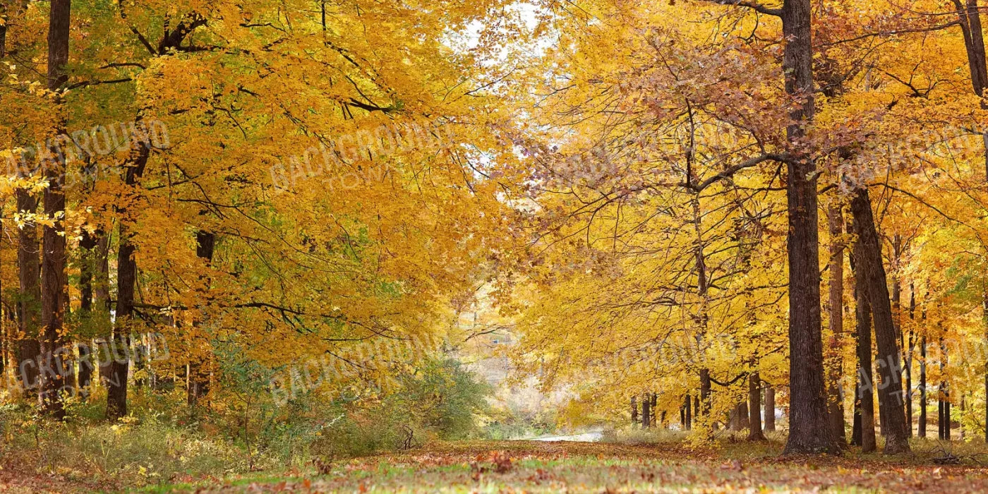 Fall In Missouri 2 20X10 Ultracloth ( 240 X 120 Inch ) Backdrop