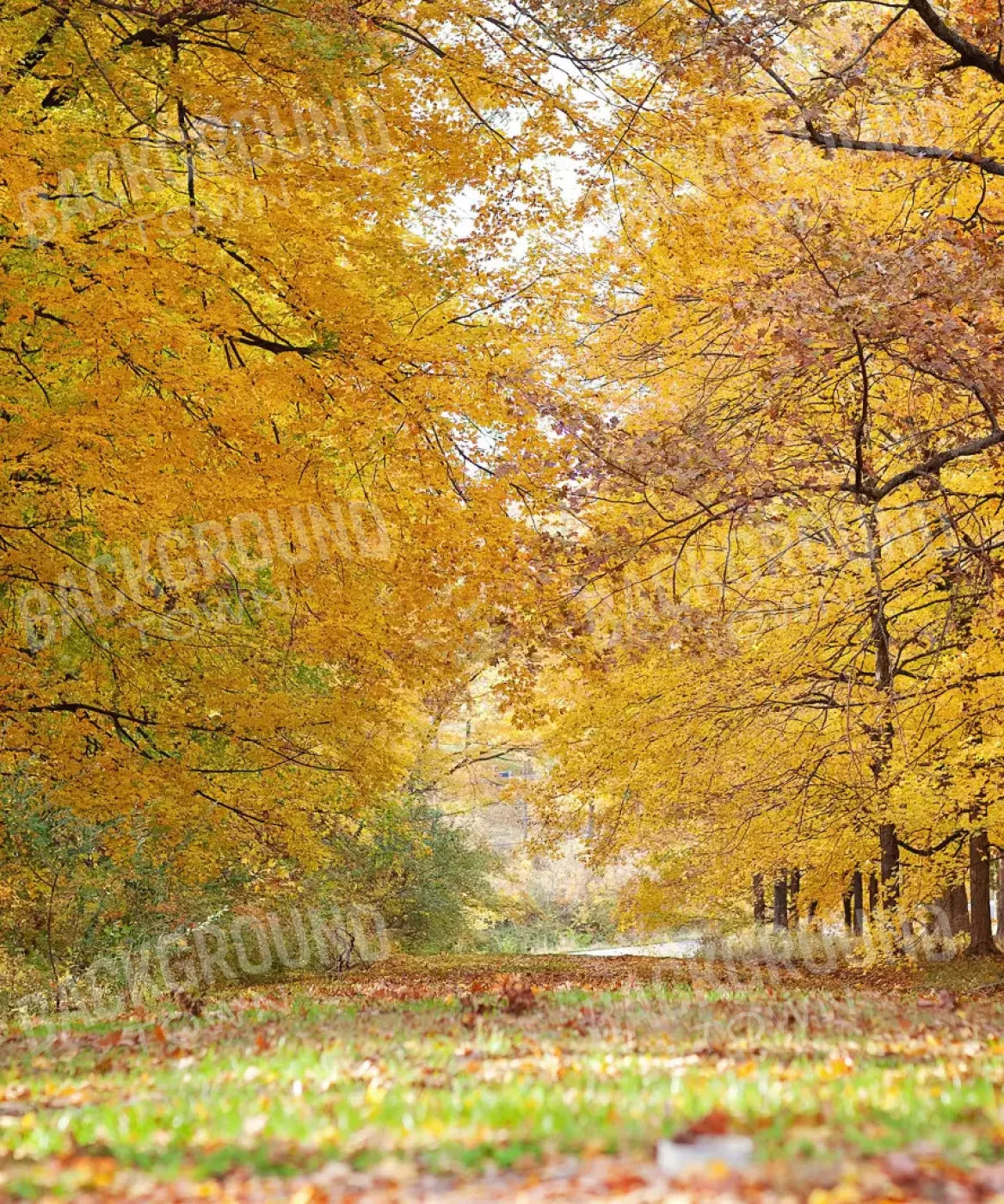Yellow Autumn Backdrop for Photography