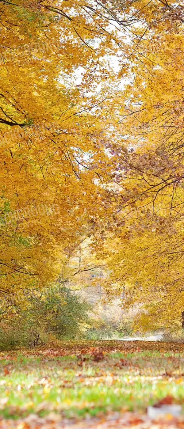 Fall In Missouri 2 5X12 Ultracloth For Westcott X-Drop ( 60 X 144 Inch ) Backdrop