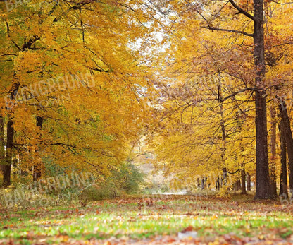 Fall In Missouri 2 5X42 Fleece ( 60 X 50 Inch ) Backdrop