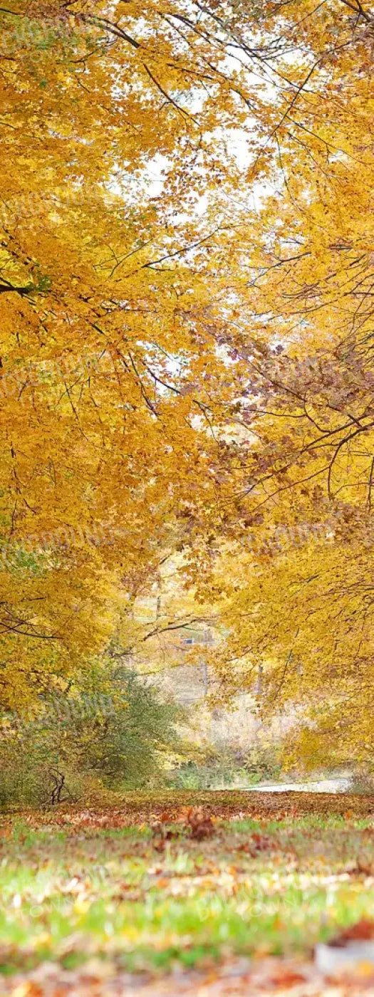 Fall In Missouri 2 8X20 Ultracloth ( 96 X 240 Inch ) Backdrop