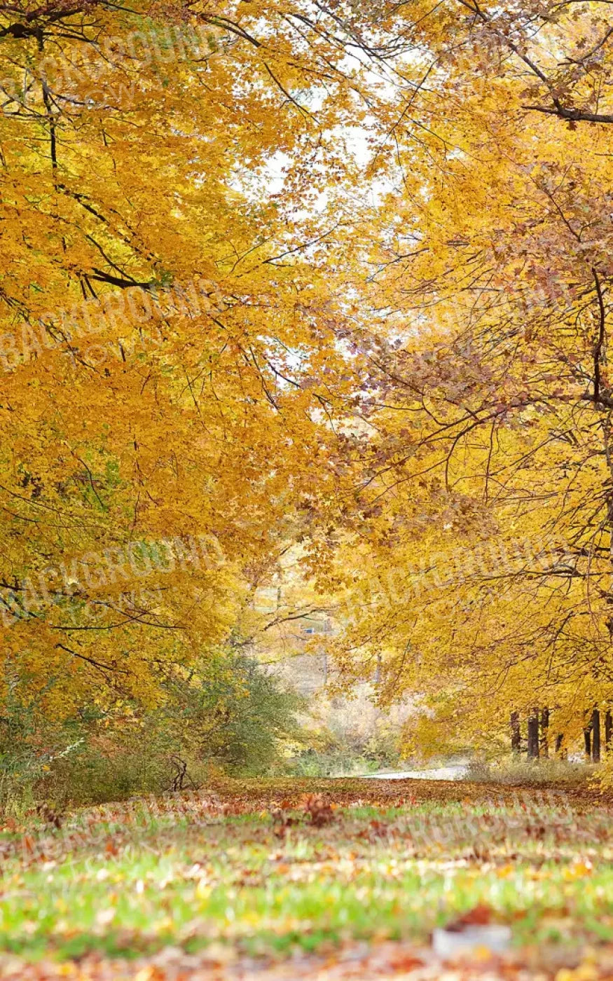 Fall In Missouri 2 9X14 Ultracloth ( 108 X 168 Inch ) Backdrop