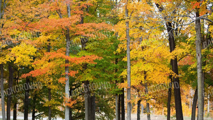 Fall In Missouri 3 14X8 Ultracloth ( 168 X 96 Inch ) Backdrop