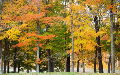 Fall In Missouri 3 14X9 Ultracloth ( 168 X 108 Inch ) Backdrop