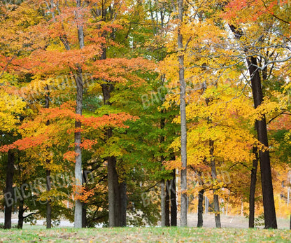 Fall In Missouri 3 5X42 Fleece ( 60 X 50 Inch ) Backdrop