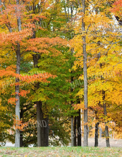 Fall In Missouri 3 6X8 Fleece ( 72 X 96 Inch ) Backdrop