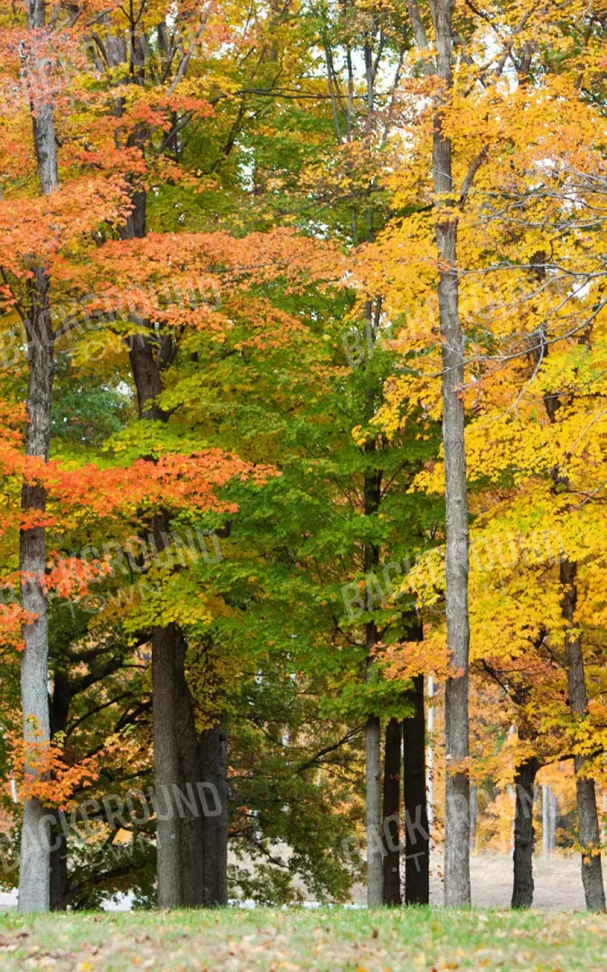 Fall In Missouri 3 9X14 Ultracloth ( 108 X 168 Inch ) Backdrop