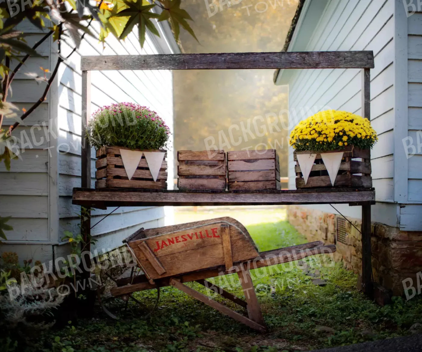 Fall Mums 5X42 Fleece ( 60 X 50 Inch ) Backdrop