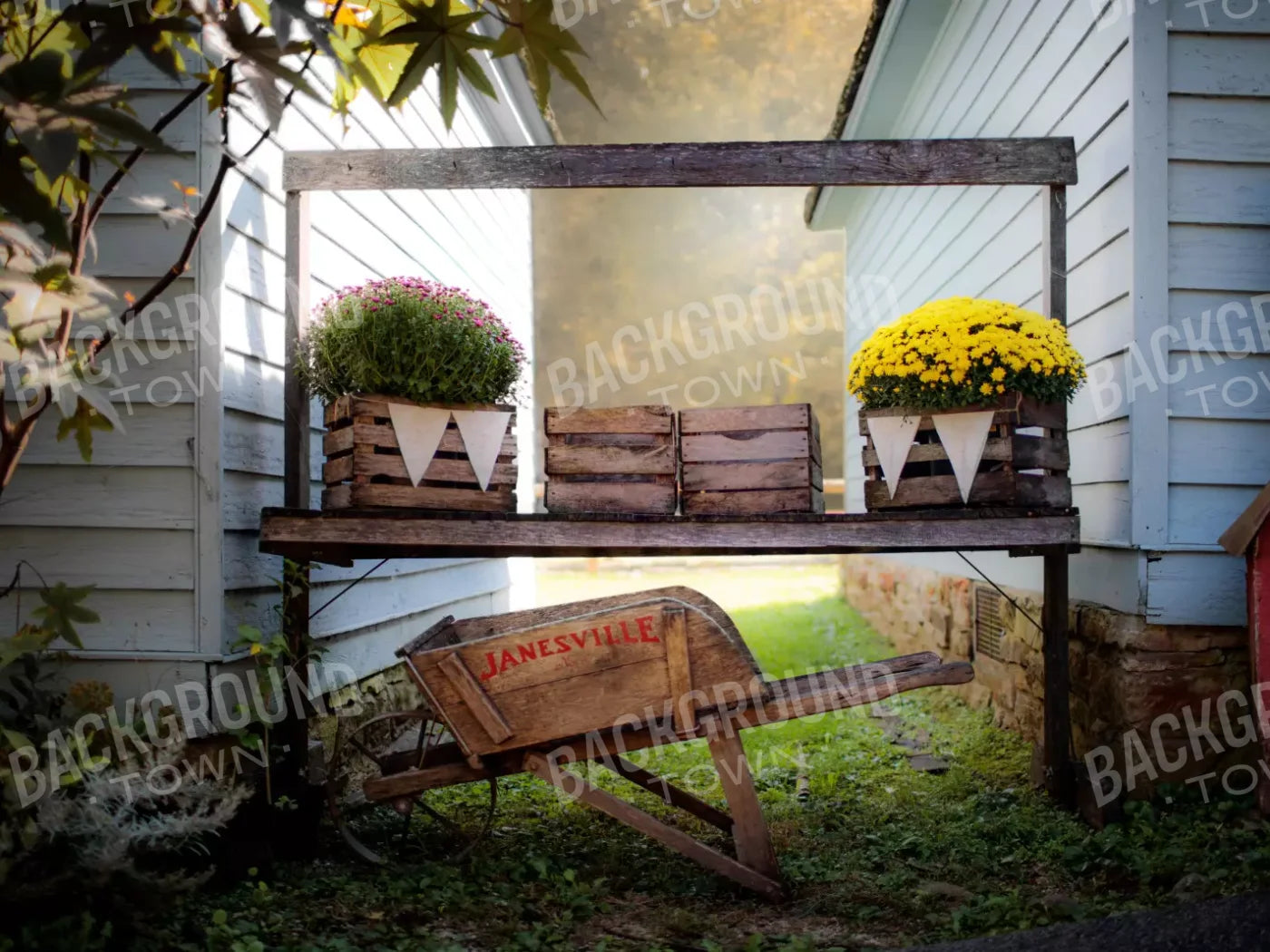 Fall Mums 7X5 Ultracloth ( 84 X 60 Inch ) Backdrop