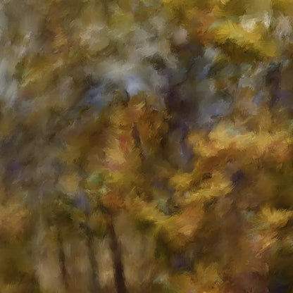 Fall River Colors 10X10 Ultracloth ( 120 X Inch ) Backdrop