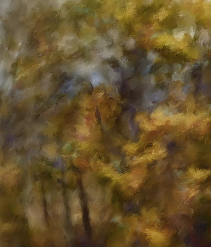 Fall River Colors 10X12 Ultracloth ( 120 X 144 Inch ) Backdrop
