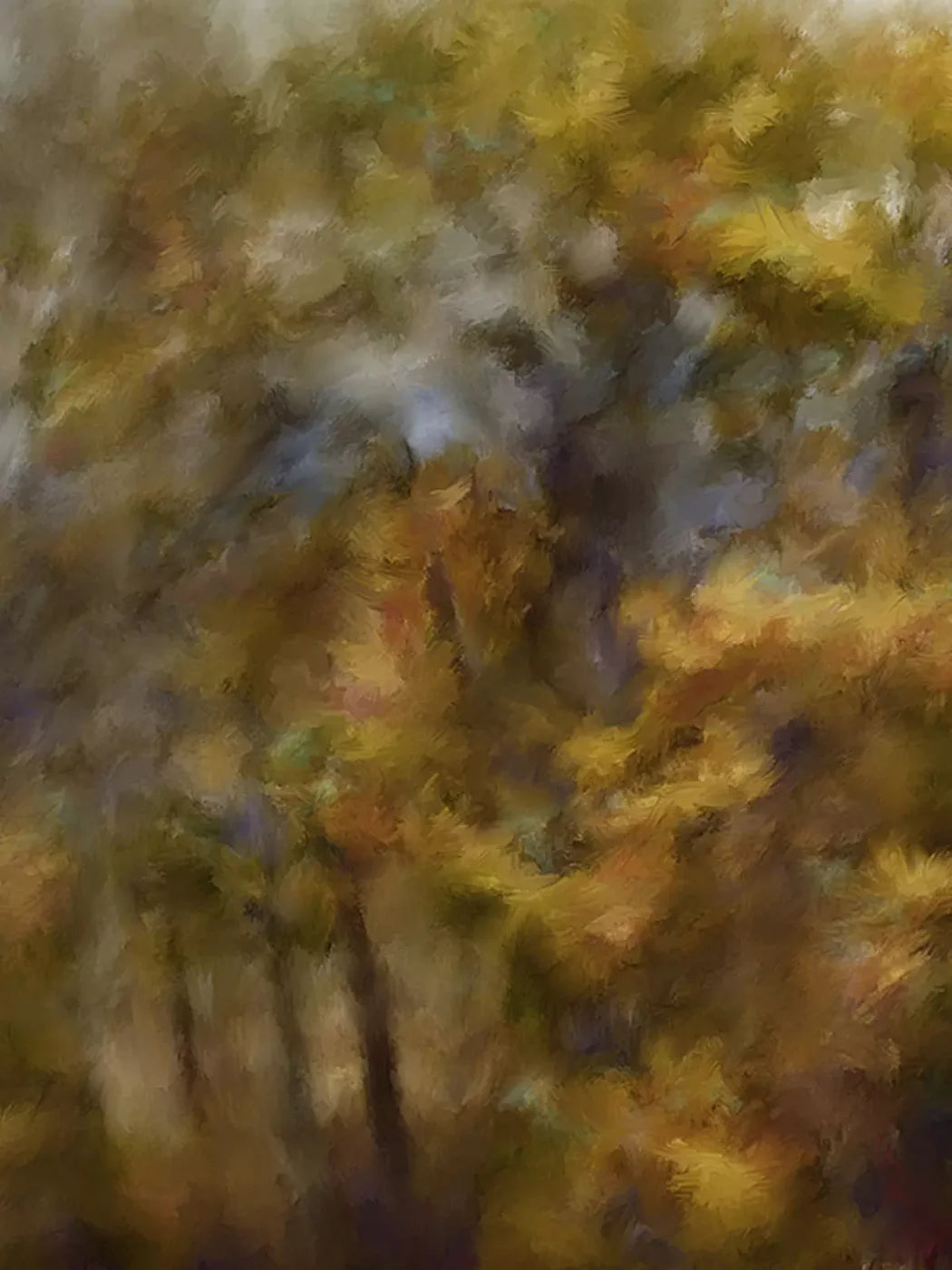 Fall River Colors 5X68 Fleece ( 60 X 80 Inch ) Backdrop