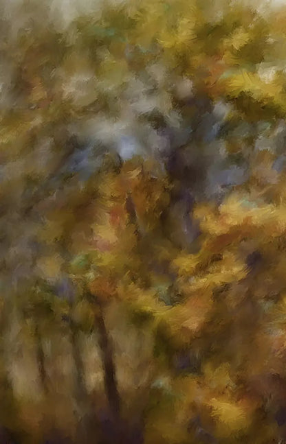 Fall River Colors 8X12 Ultracloth ( 96 X 144 Inch ) Backdrop