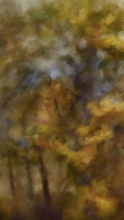 Fall River Colors 8X14 Ultracloth ( 96 X 168 Inch ) Backdrop
