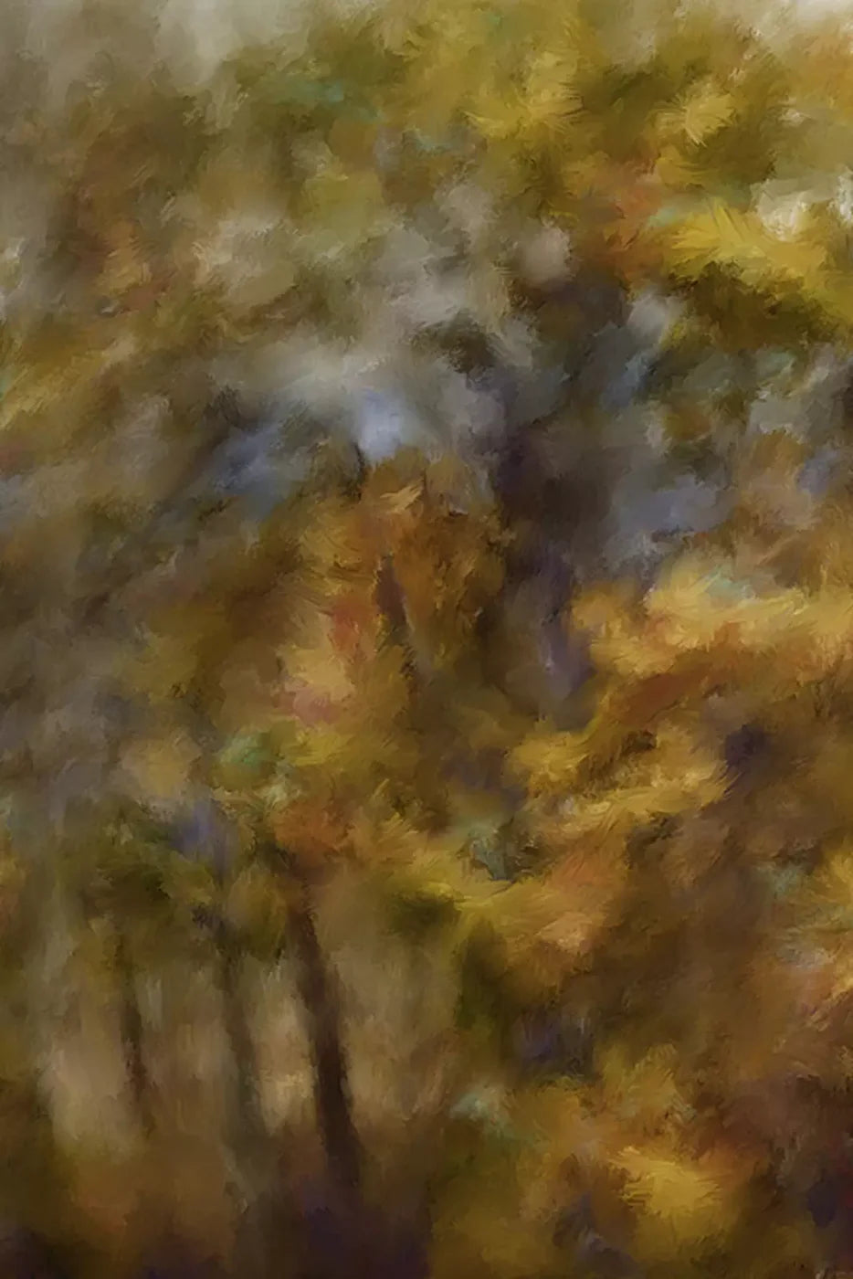 Fall River Colors Backdrop