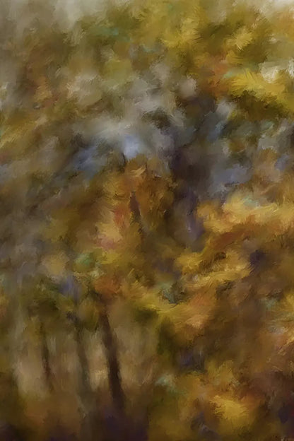 Fall River Colors Backdrop