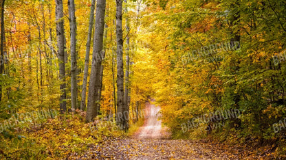 Fall Walk 14X8 Ultracloth ( 168 X 96 Inch ) Backdrop