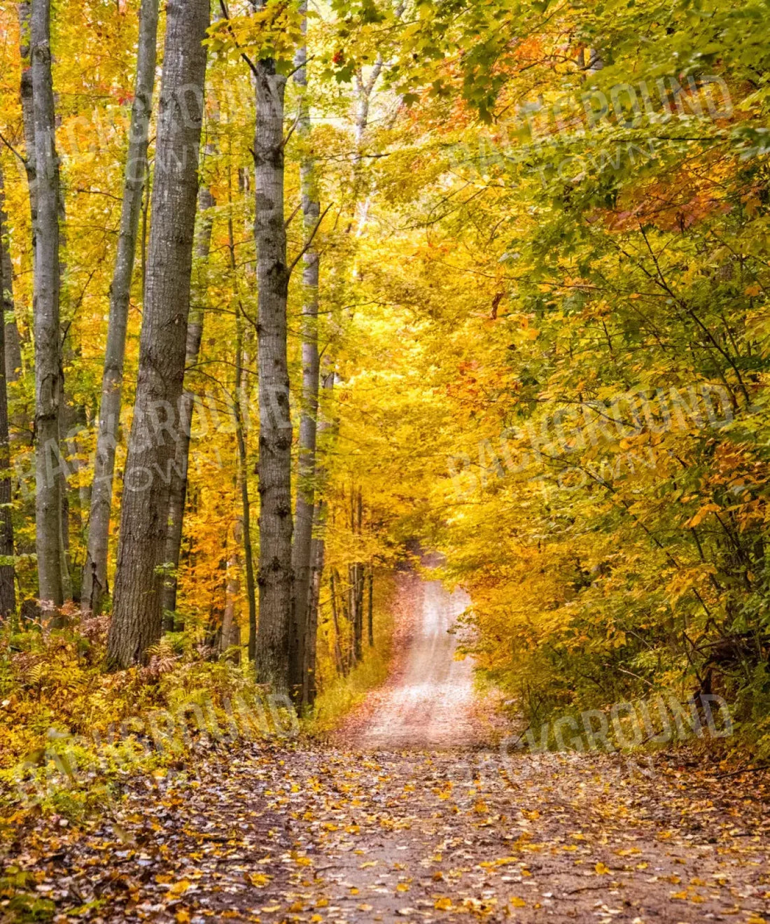 Green Autumn Backdrop for Photography