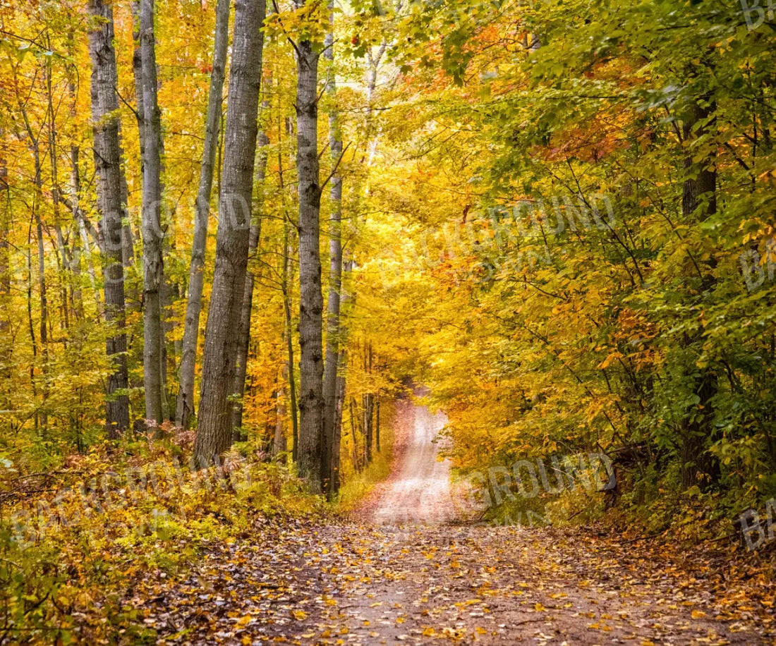 Fall Walk 5X42 Fleece ( 60 X 50 Inch ) Backdrop