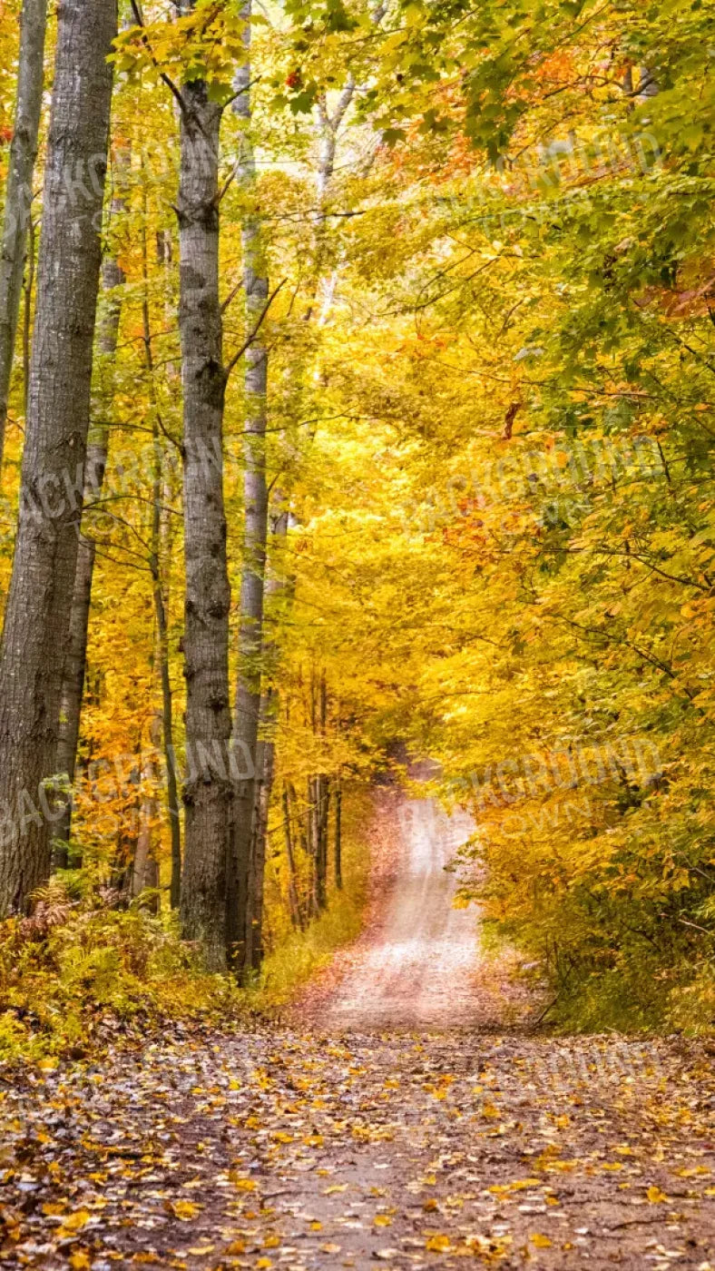 Fall Walk 8X14 Ultracloth ( 96 X 168 Inch ) Backdrop