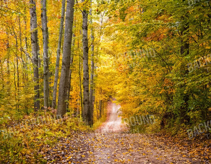 Fall Walk 8X6 Fleece ( 96 X 72 Inch ) Backdrop