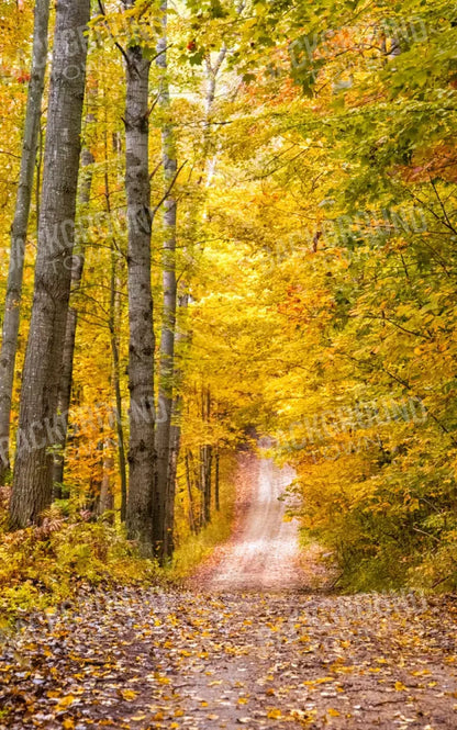 Fall Walk 9X14 Ultracloth ( 108 X 168 Inch ) Backdrop