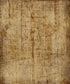 Brown Urban Grunge Backdrop for Photography