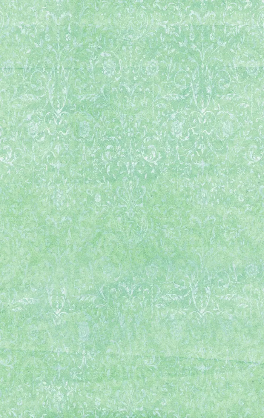 Felice 10X16 Ultracloth ( 120 X 192 Inch ) Backdrop