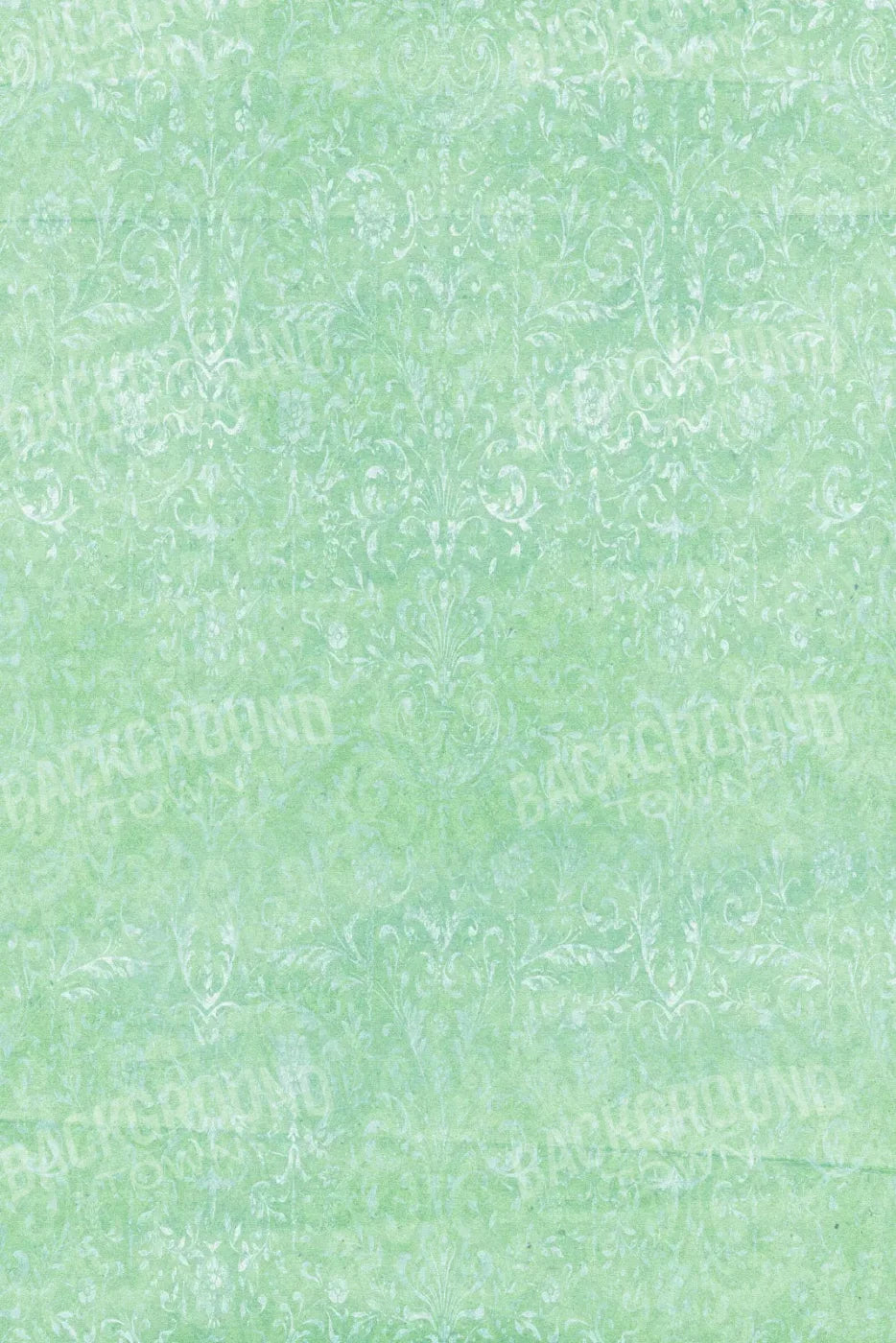 Felice 5X8 Ultracloth ( 60 X 96 Inch ) Backdrop