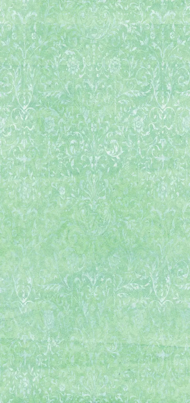 Felice 8X16 Ultracloth ( 96 X 192 Inch ) Backdrop