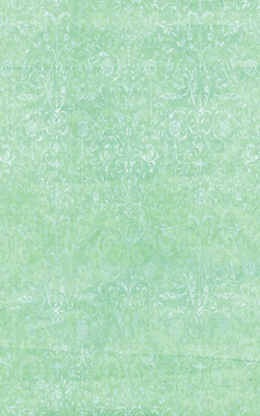 Felice 9X14 Ultracloth ( 108 X 168 Inch ) Backdrop