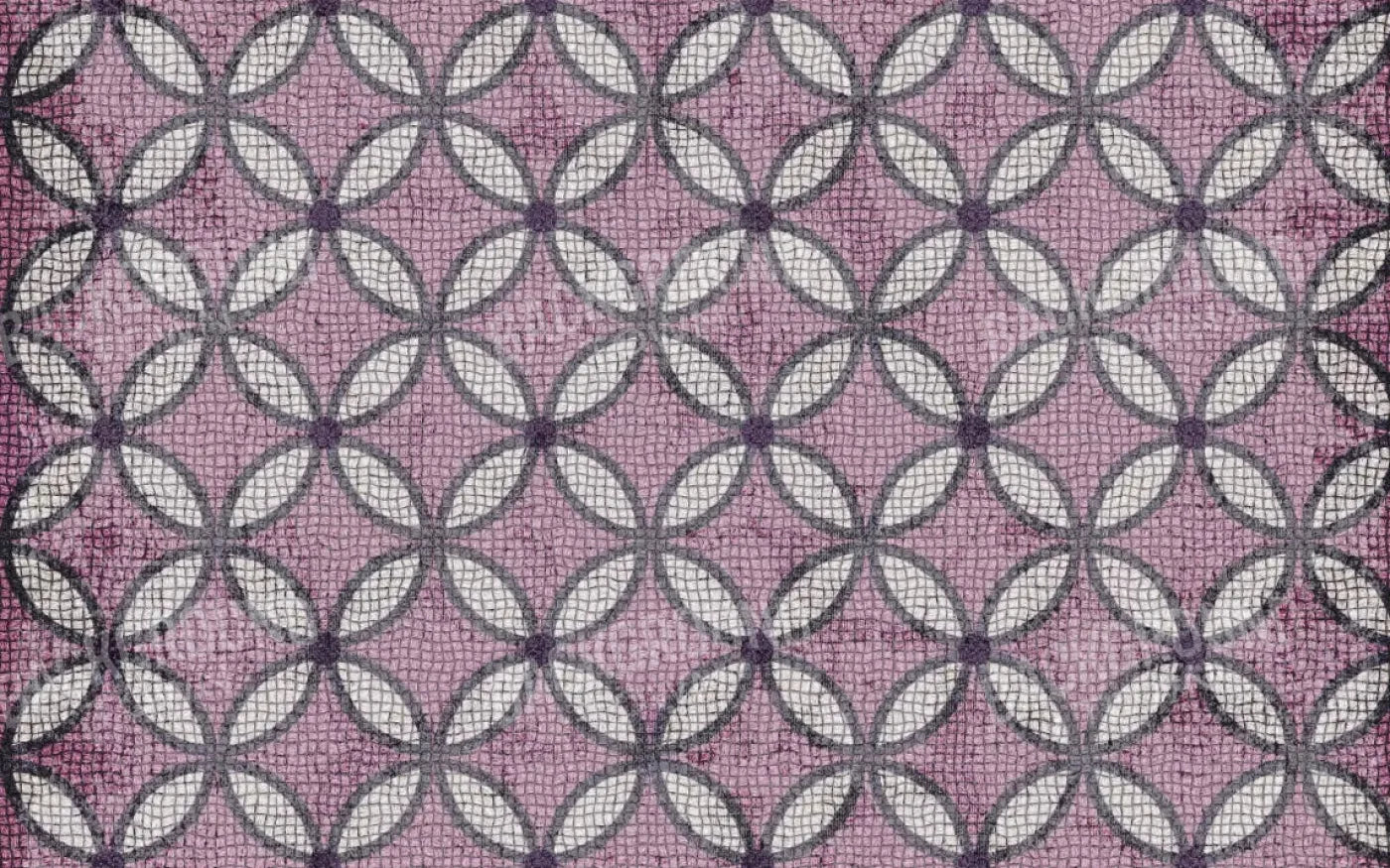 Felicity 14X9 Ultracloth ( 168 X 108 Inch ) Backdrop