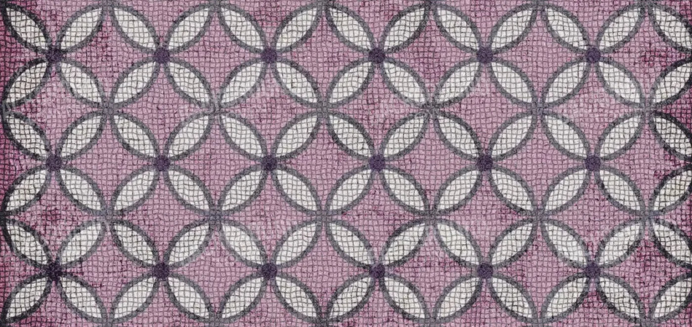 Felicity 16X8 Ultracloth ( 192 X 96 Inch ) Backdrop