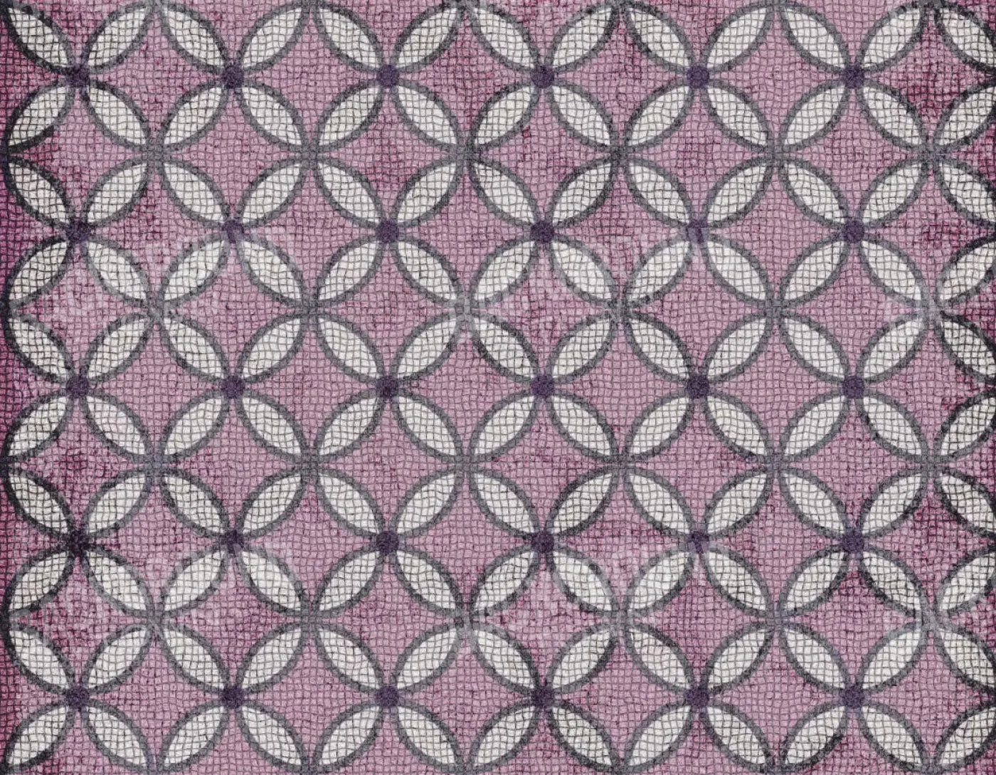 Felicity 8X6 Fleece ( 96 X 72 Inch ) Backdrop