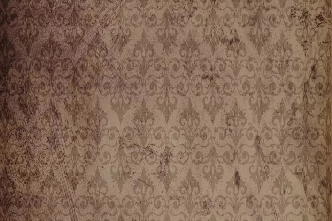Feline Backdrop