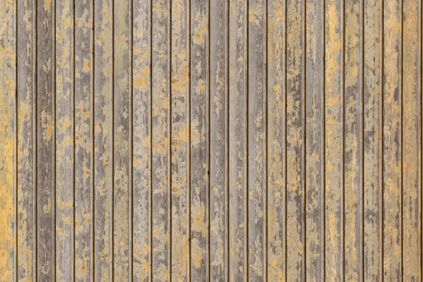 Fence Backdrop
