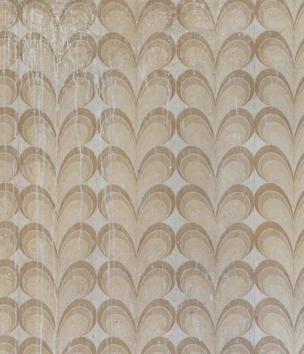 Fern 10X12 Ultracloth ( 120 X 144 Inch ) Backdrop