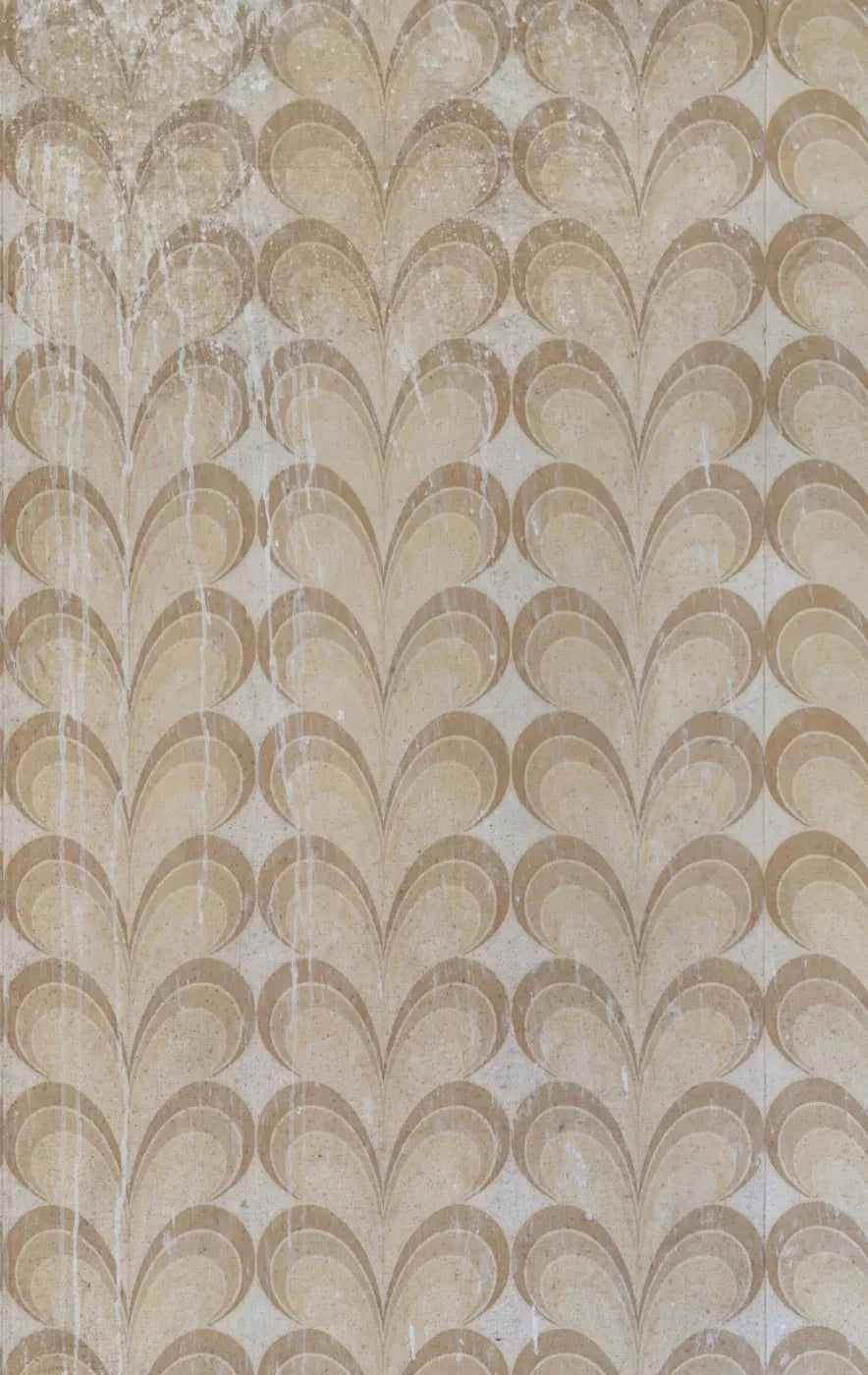 Fern 10X16 Ultracloth ( 120 X 192 Inch ) Backdrop