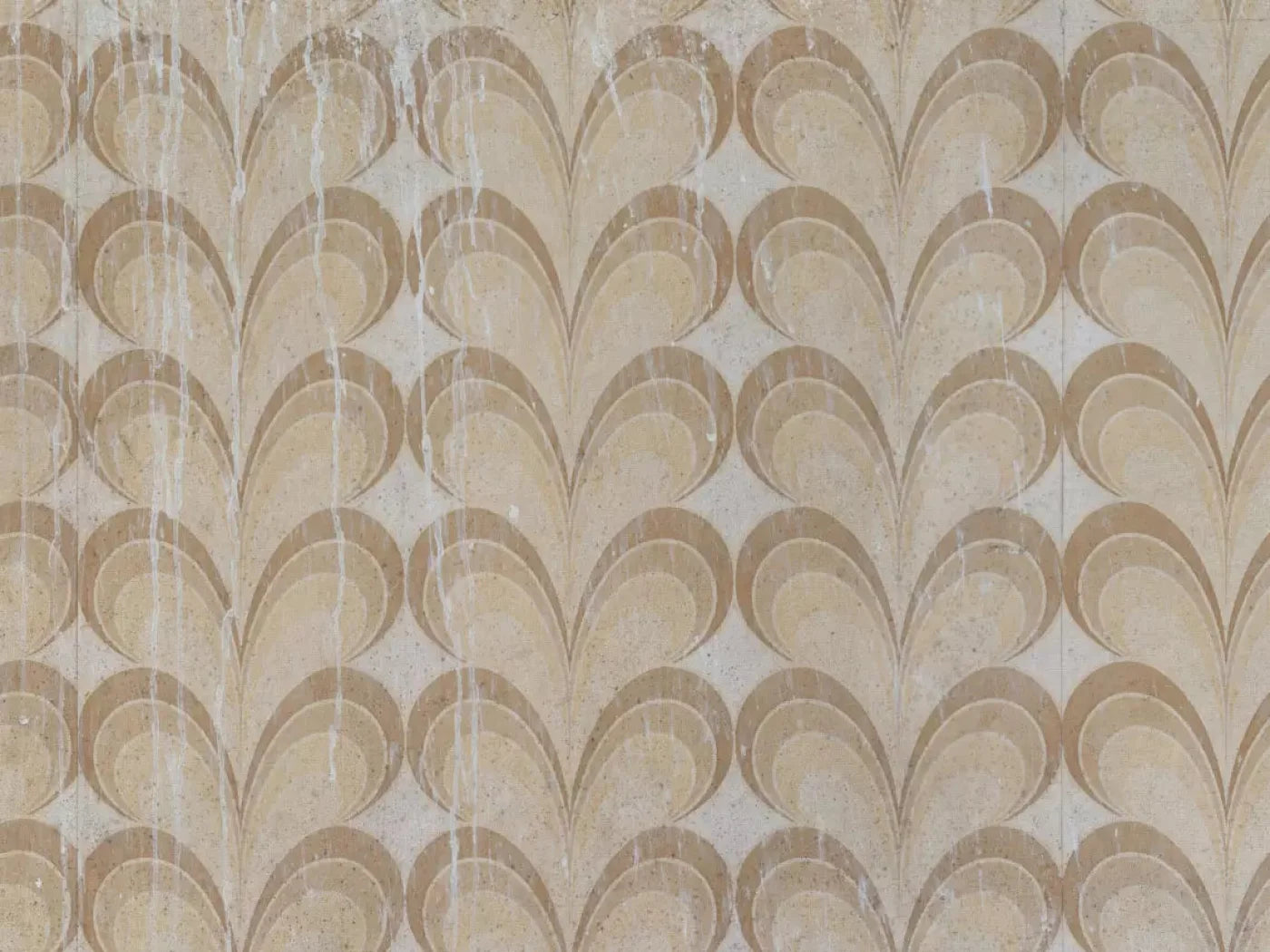 Fern 10X8 Fleece ( 120 X 96 Inch ) Backdrop