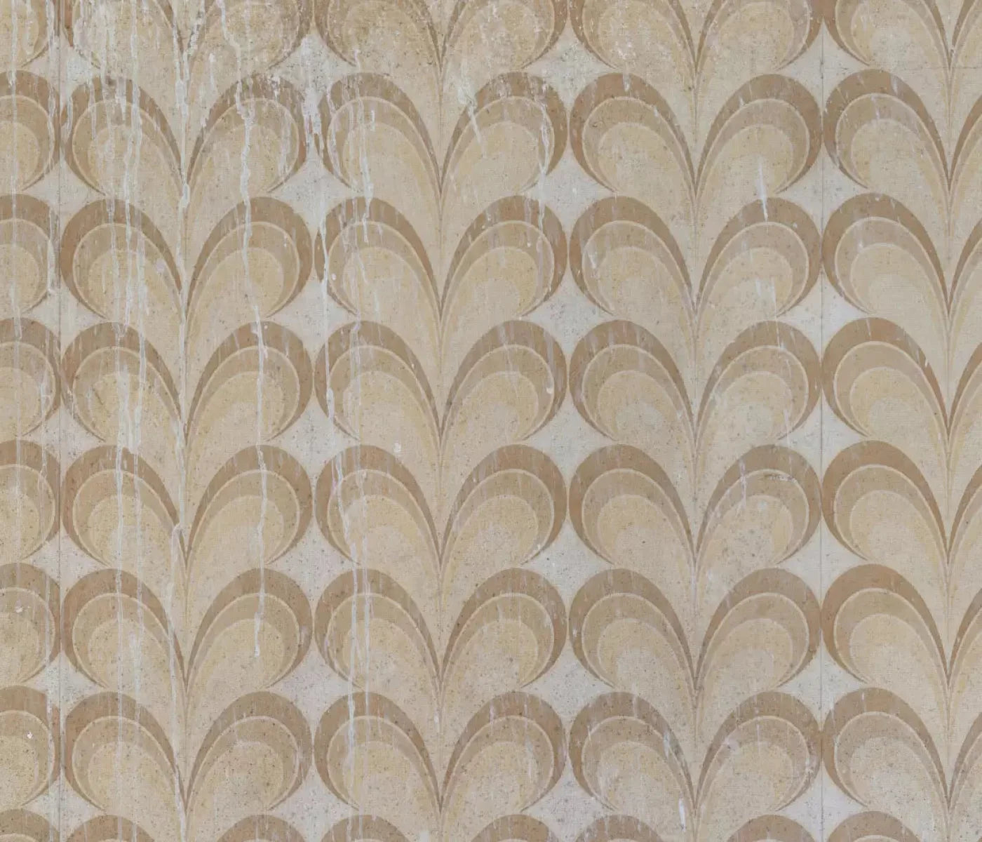 Fern 12X10 Ultracloth ( 144 X 120 Inch ) Backdrop