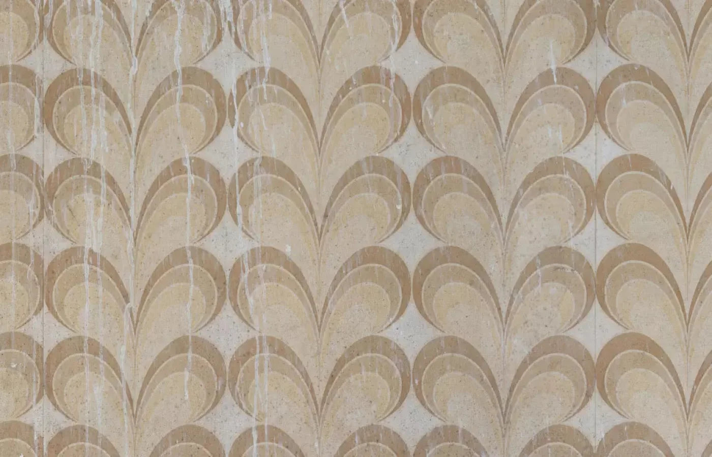 Fern 12X8 Ultracloth ( 144 X 96 Inch ) Backdrop