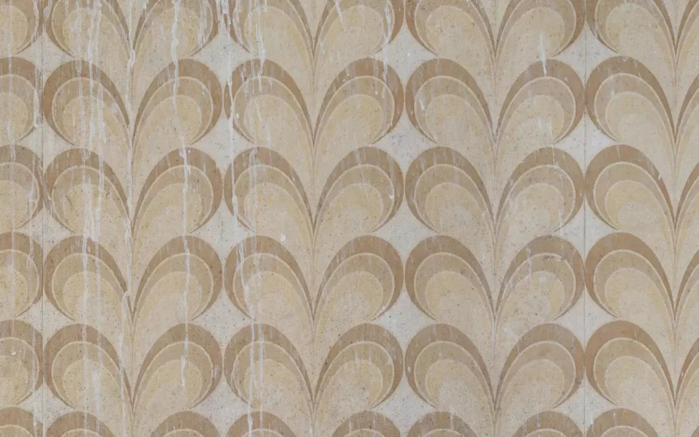 Fern 14X9 Ultracloth ( 168 X 108 Inch ) Backdrop