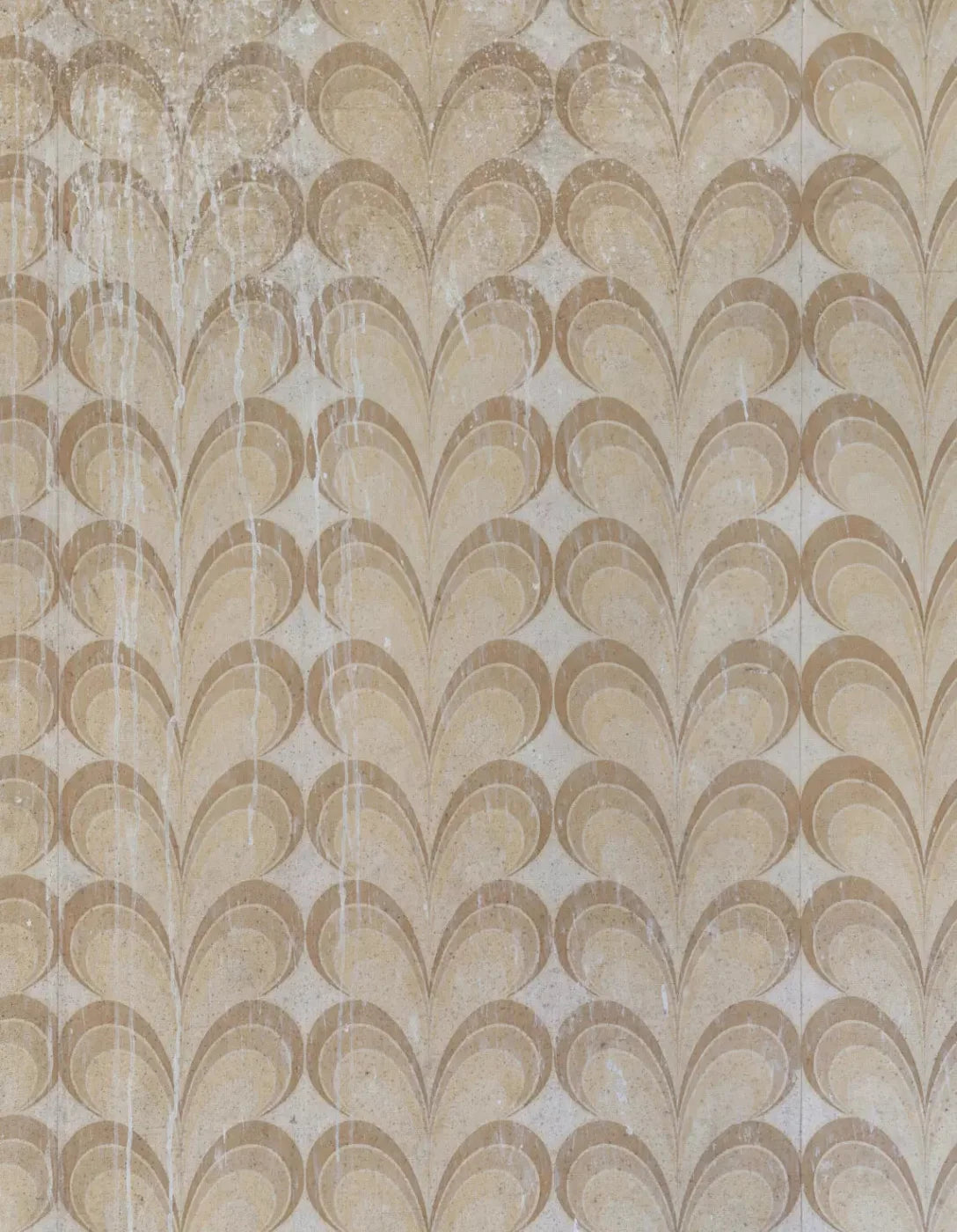 Fern 6X8 Fleece ( 72 X 96 Inch ) Backdrop