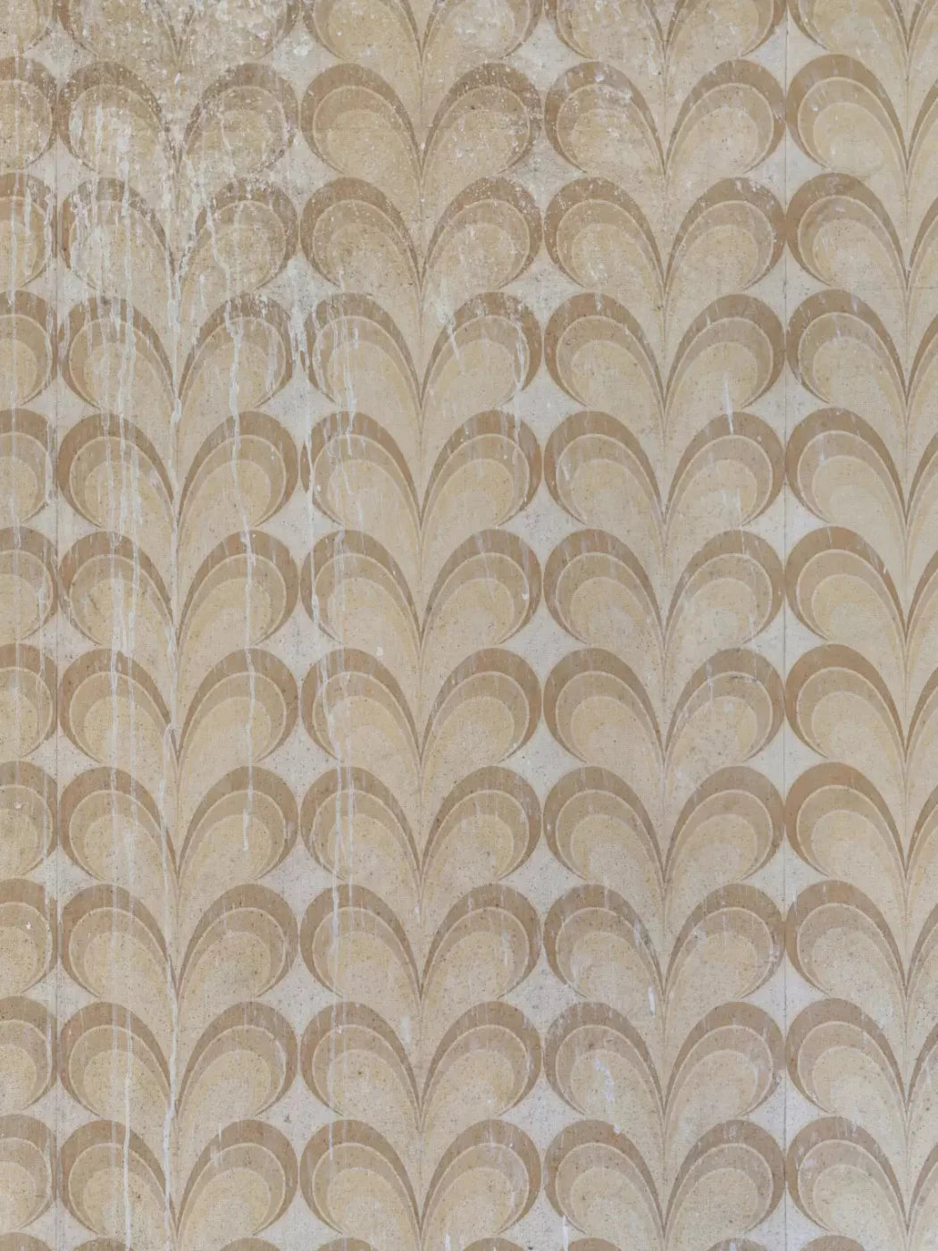 Fern 8X10 Fleece ( 96 X 120 Inch ) Backdrop