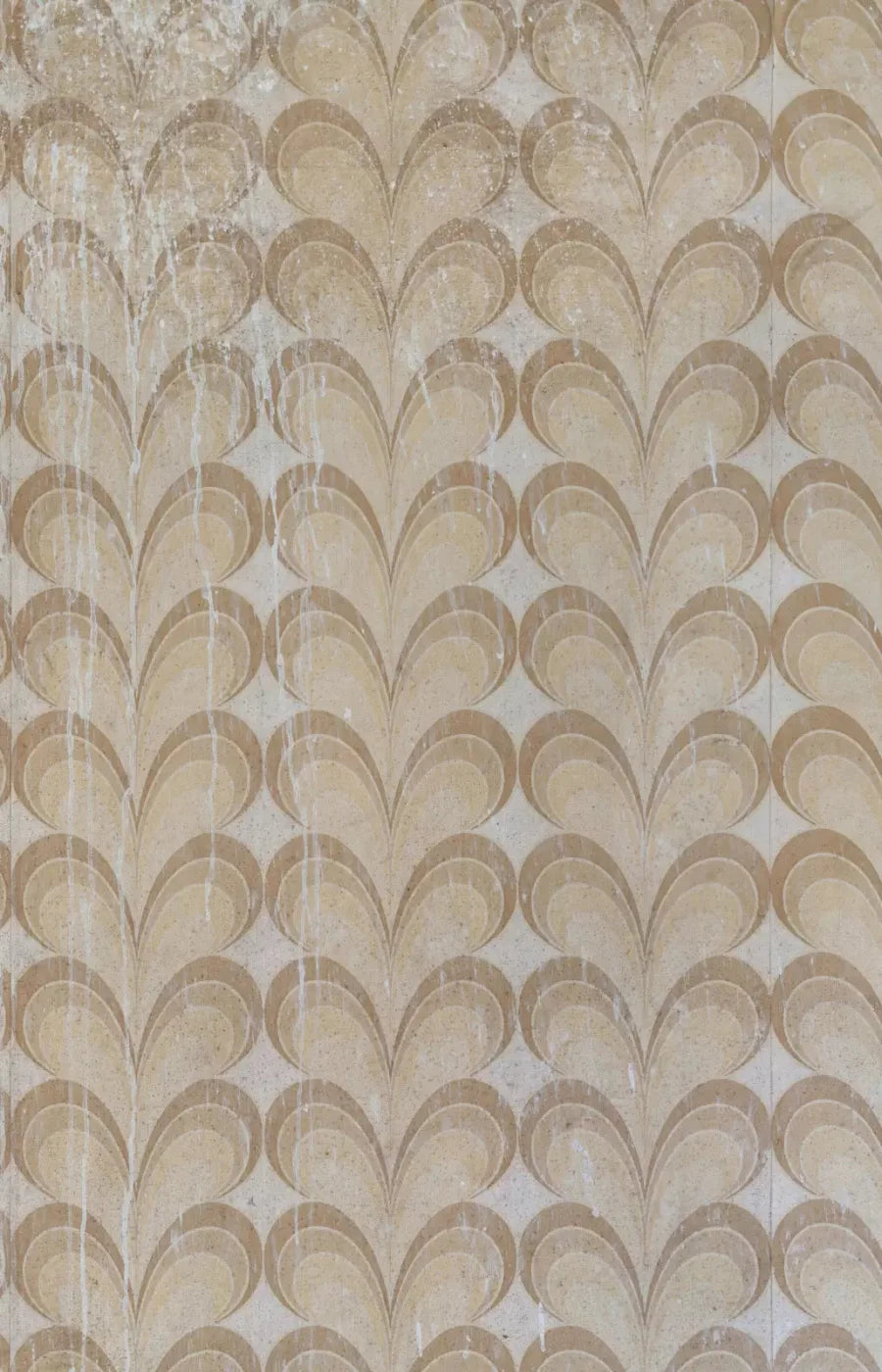Fern 8X12 Ultracloth ( 96 X 144 Inch ) Backdrop