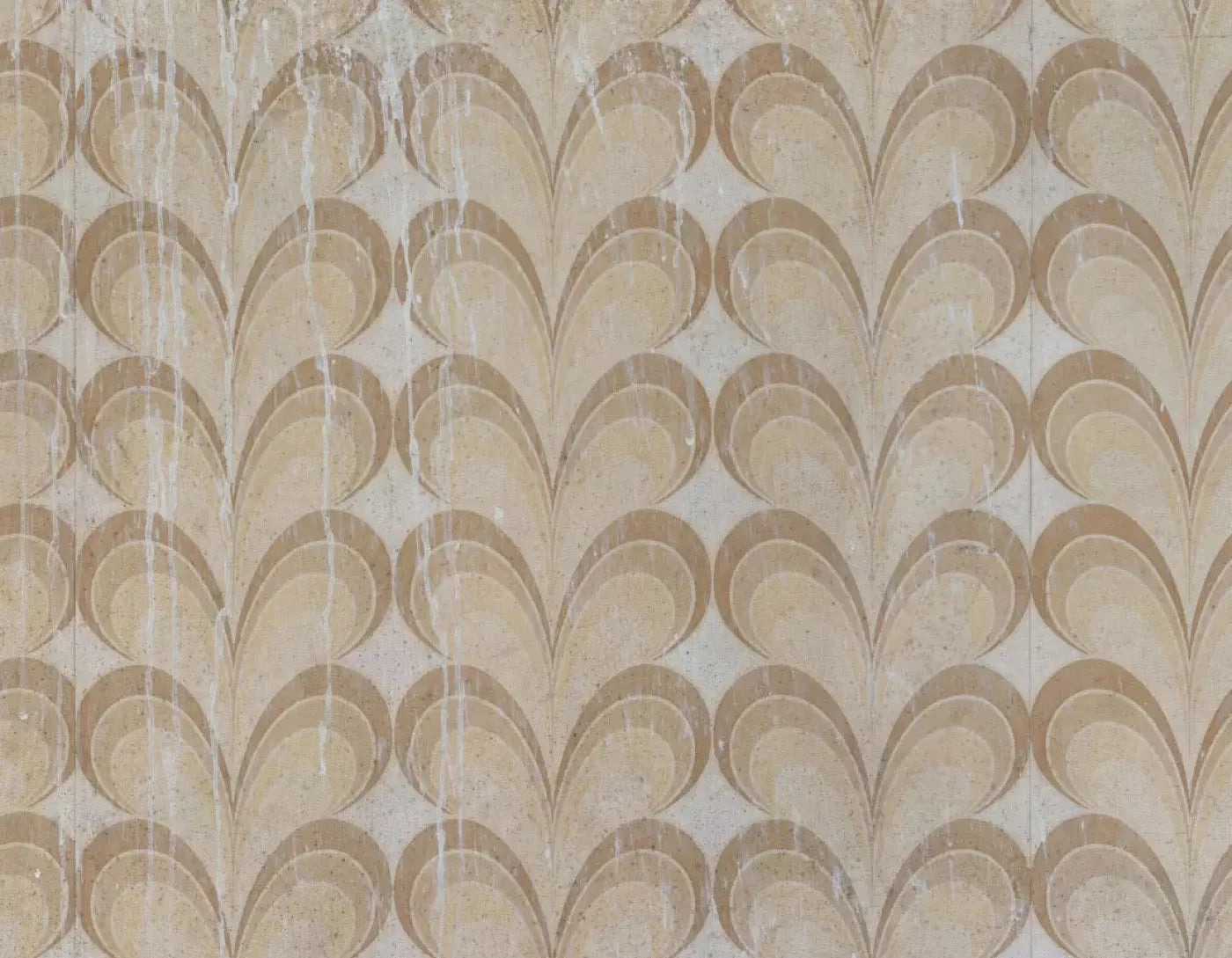 Fern 8X6 Fleece ( 96 X 72 Inch ) Backdrop