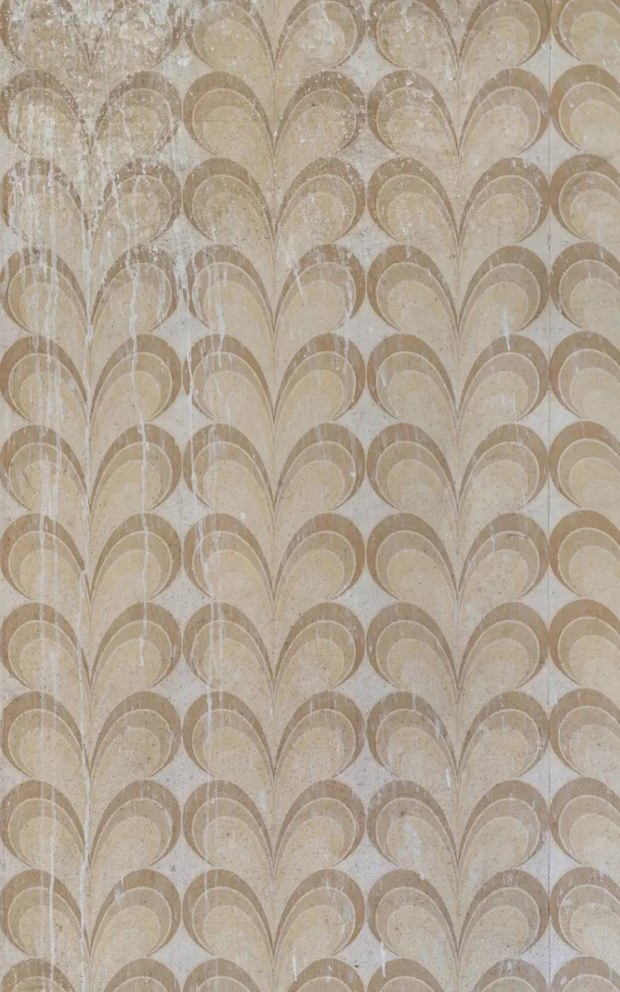 Fern 9X14 Ultracloth ( 108 X 168 Inch ) Backdrop