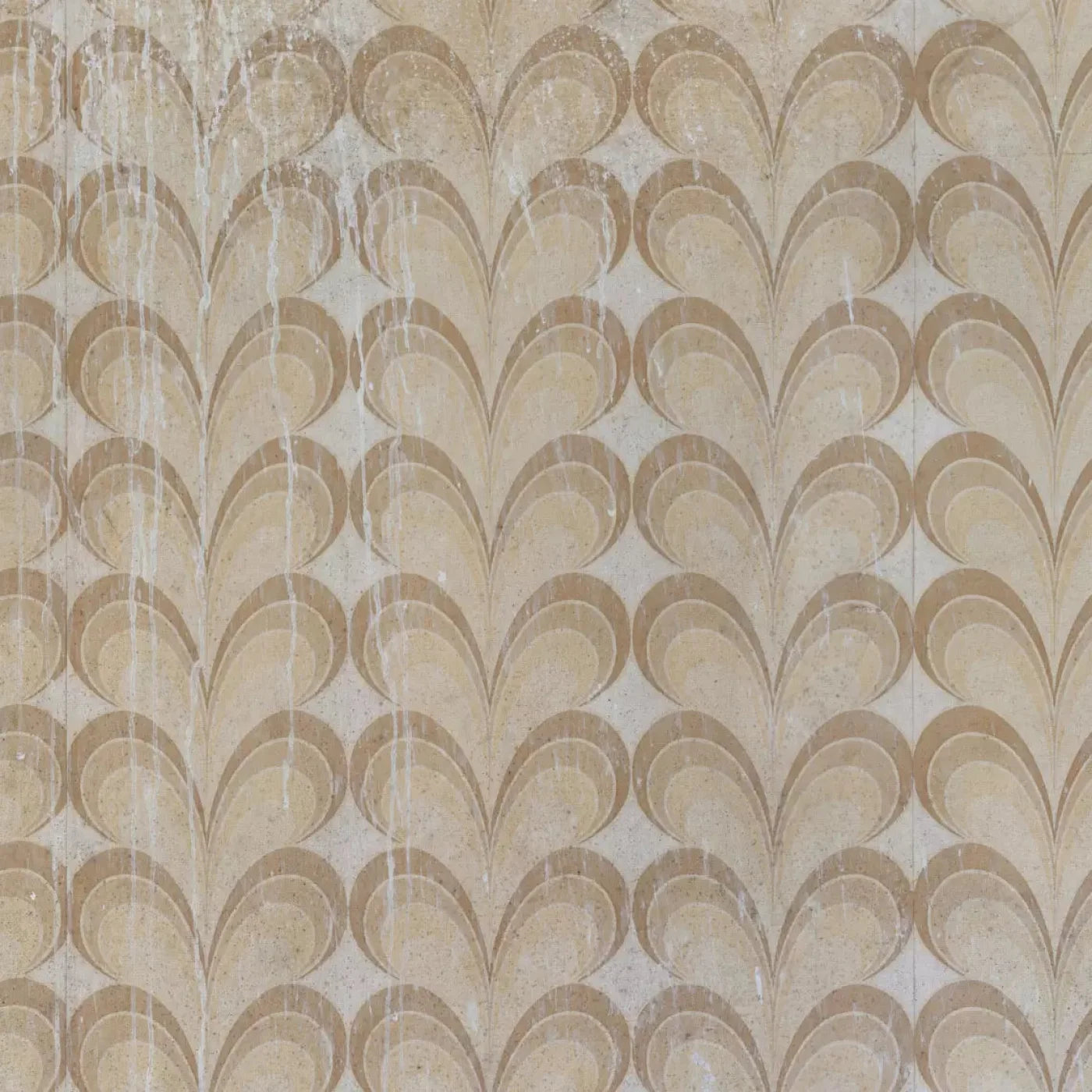 Fern Backdrop