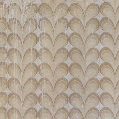 Fern Backdrop